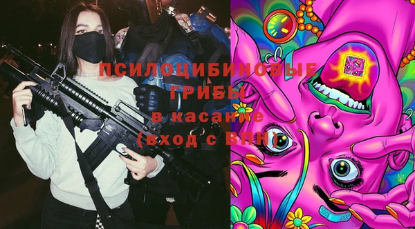стаф Абдулино