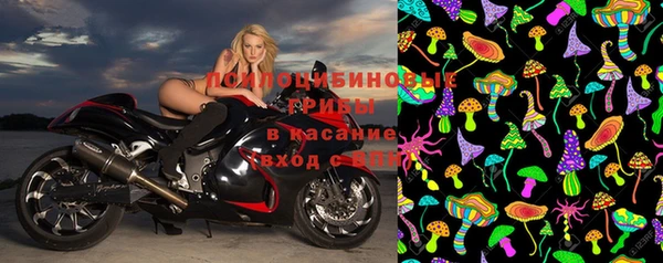 ешки Абинск
