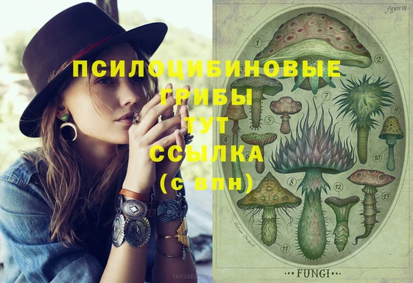 марки lsd Абаза